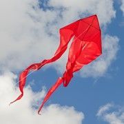 Red 52" wave Delta Kite
