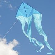 Blu 77" wave Delta kite