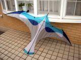 Laima  Blu  SC5