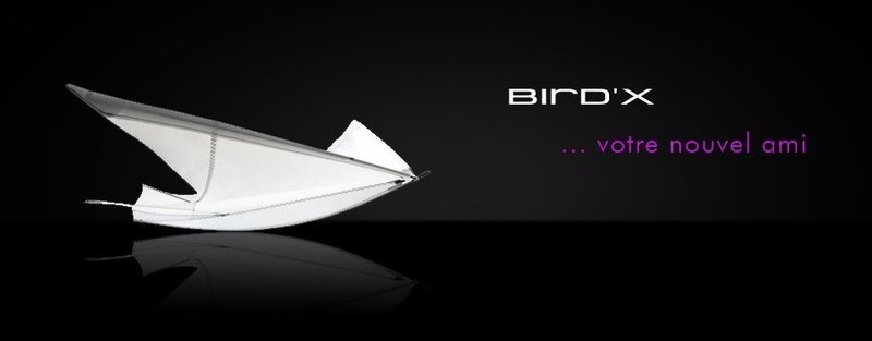 Bird'X