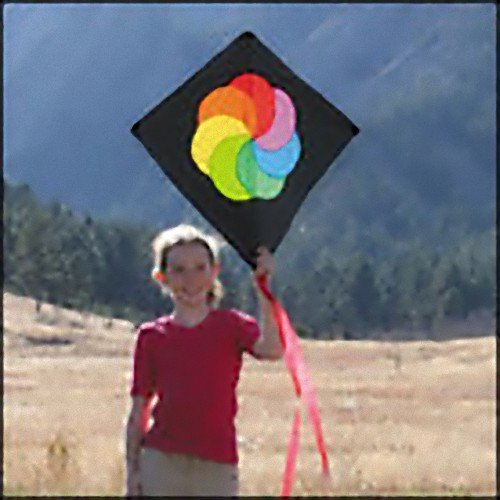 Color Wheel Hata  SC1