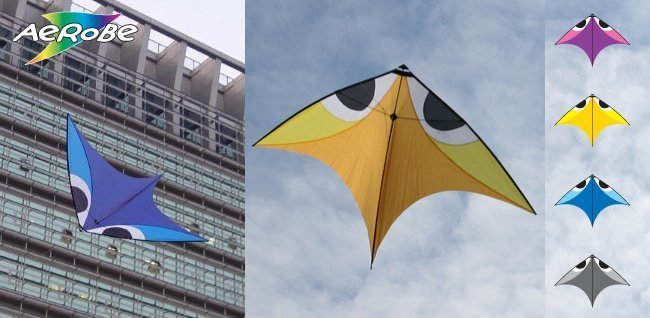 Flying Wings Aerobe  SC8