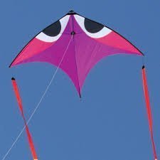 Flying Wings Aerobe   SC9