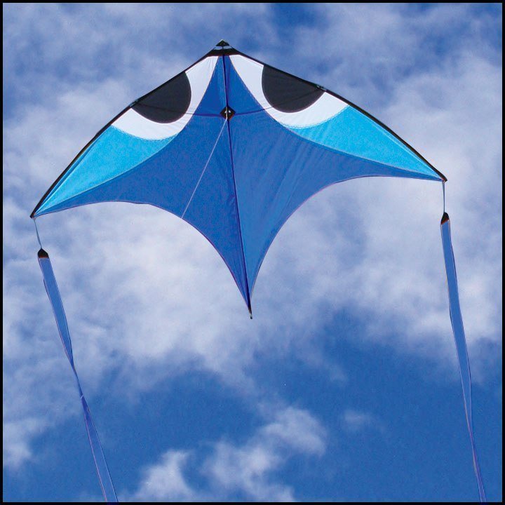 Flying Wings Aerobe  SC9