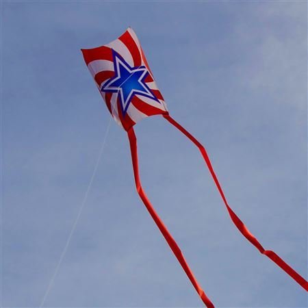 Kid's Sled Kite