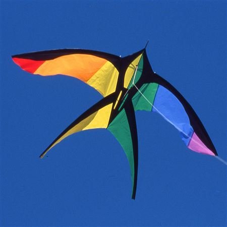 Martin Lester Rainbow Bird
