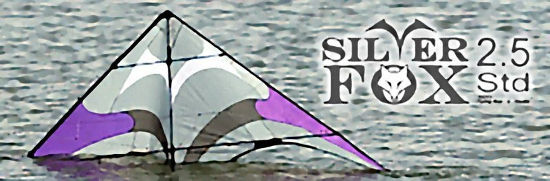 Silver Fox 2.5 std   SC4