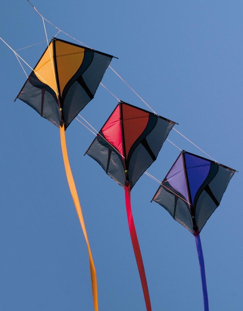 Spider Kite Leon  SC1