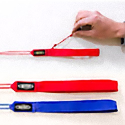 straps Prism