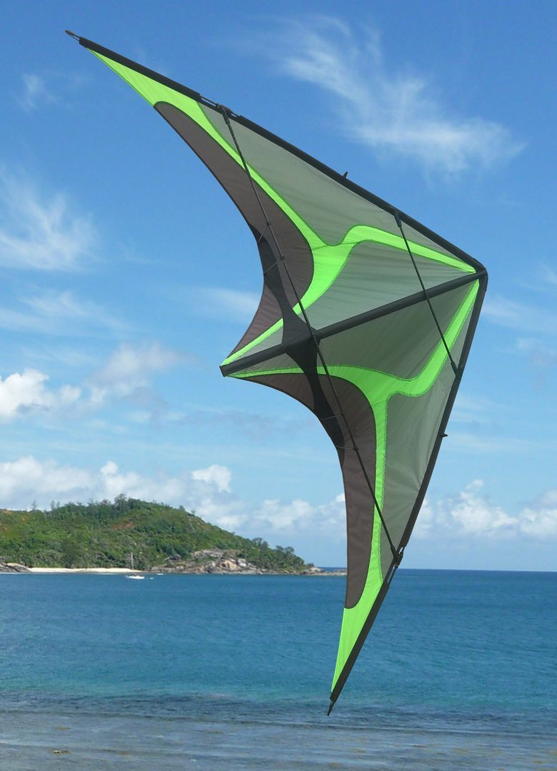 Zodarion   SC7
