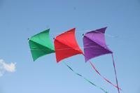 Dyna Kites Stunt Master 3 Stack