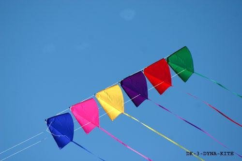 Dyna Kite Stunt Master
