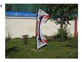 FS011  SC2