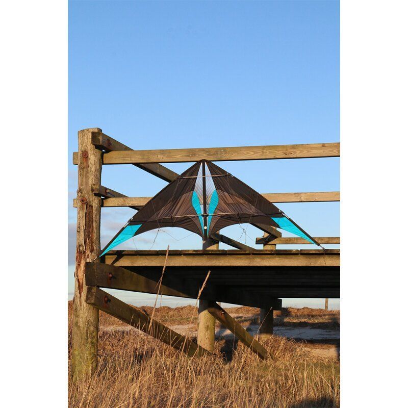 Spider Kite  Zodario    SC1