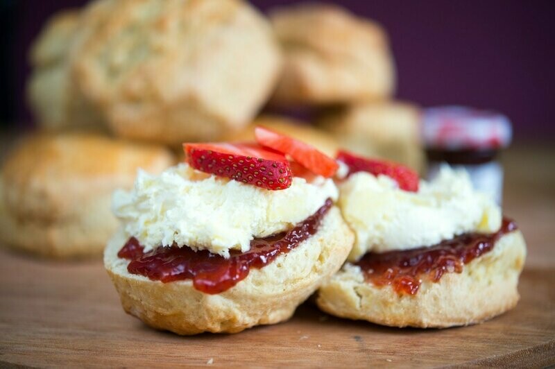 Plain Scones