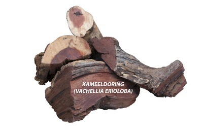 Kameeldoring 30Kg, abgepackt im Karton Kameeldoring 30Kg, abgepackt im Karton