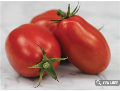 Roma Tomato