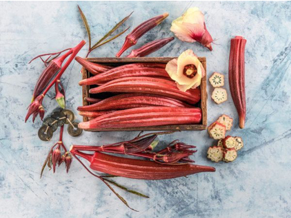 Jing Orange Okra