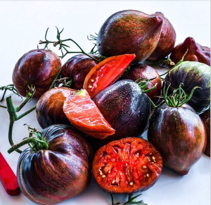 Rebel Starfighter Prime Tomato