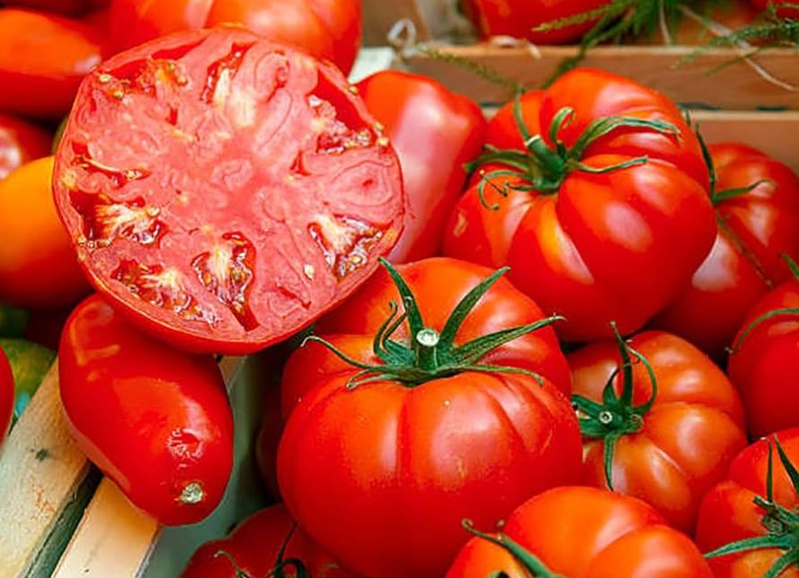 Classic Beefsteak Tomato