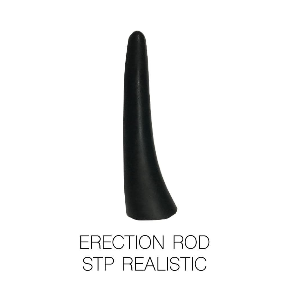Erection Rod for STPs