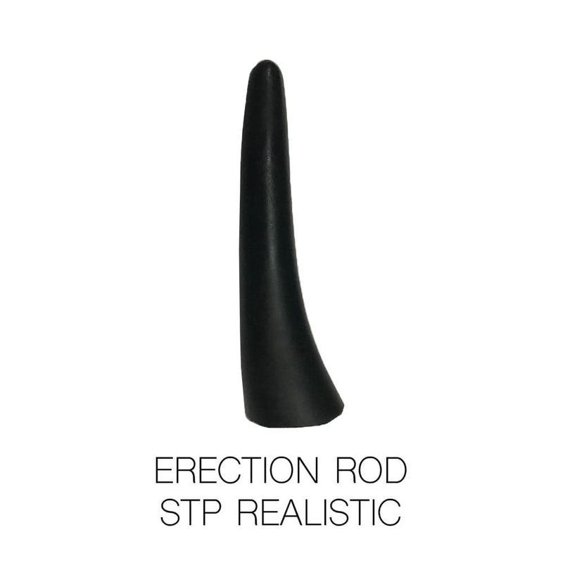 Erection Rod for STPs