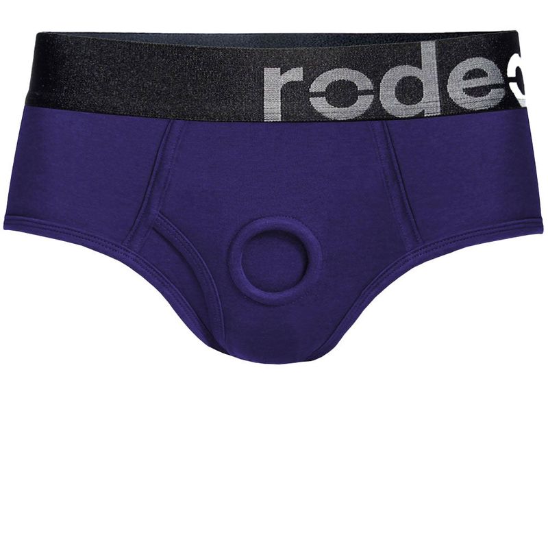 Classic Brief+ Harness - Purple