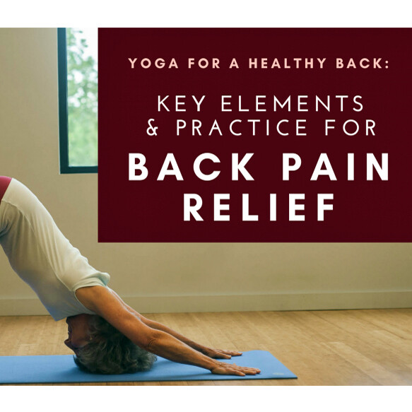 Key Elements & Practice for Back Pain Relief