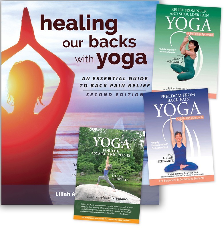 Healthy Back Support Kit
