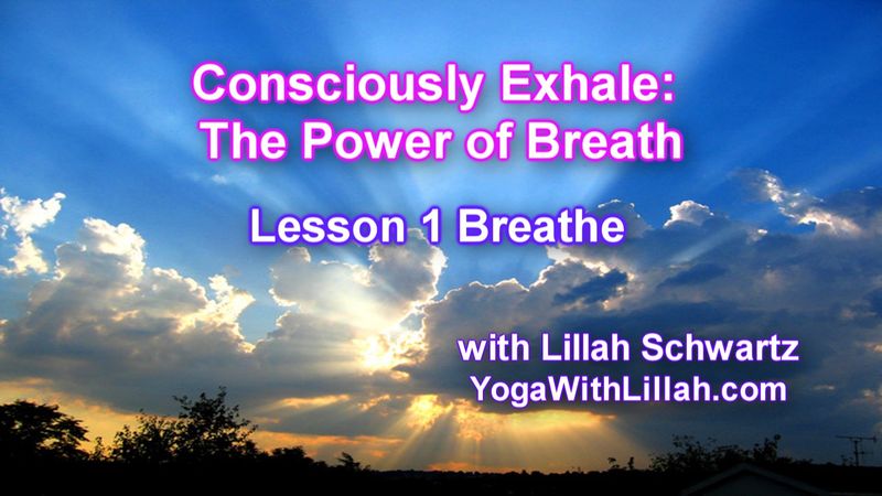 Consciously Exhale: Power of Breath Course 2022