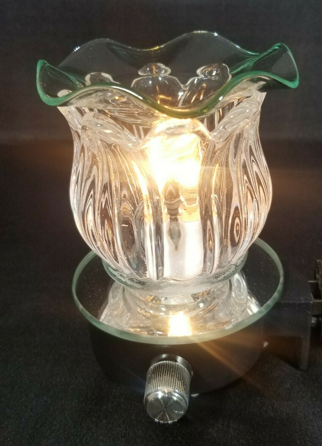Clear Tulip Plug in