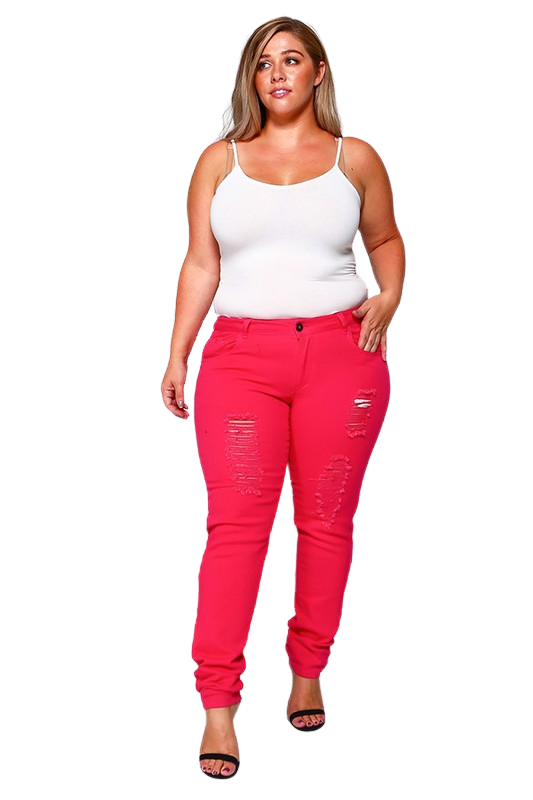 Jeans | Plus Size Distressed Jeans from Discount Diva