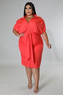 Plus Size Dresses |  The Office Dress