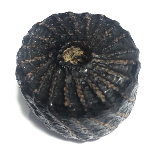 ตะกรุดพิสมร ลงรักถักเชือก ขนาด 3 x 2 Cm.