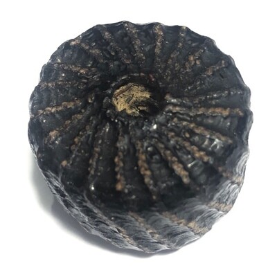 ตะกรุดพิสมร ลงรักถักเชือก ขนาด 3 x 2 Cm.