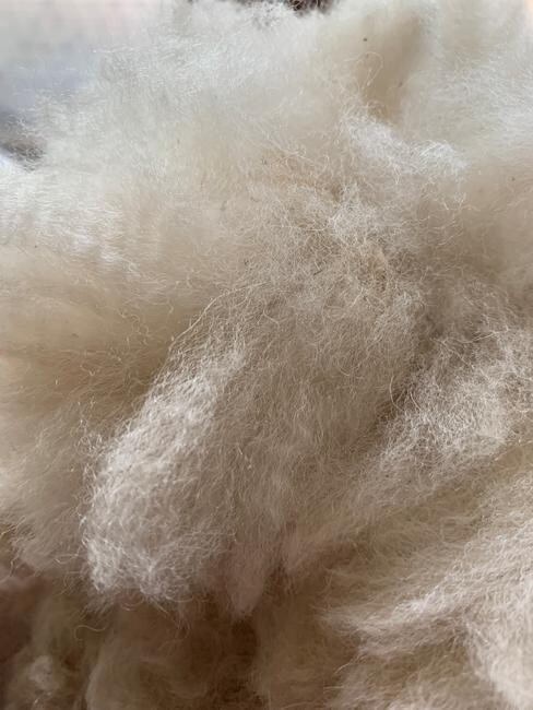 Raw Fleece - Kori