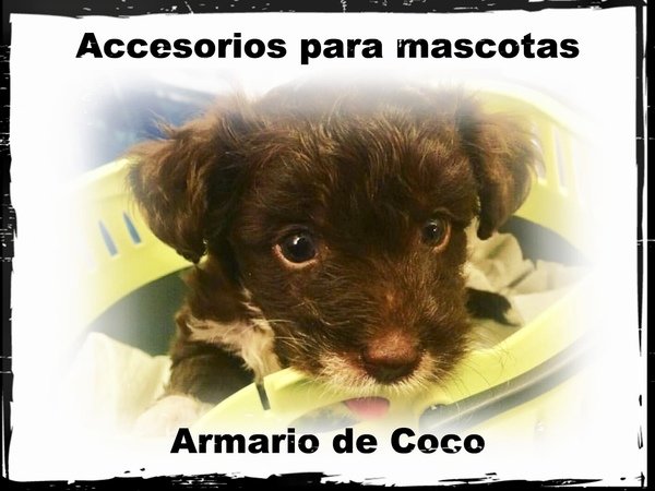 Complementos de mascotas (armario de coco)