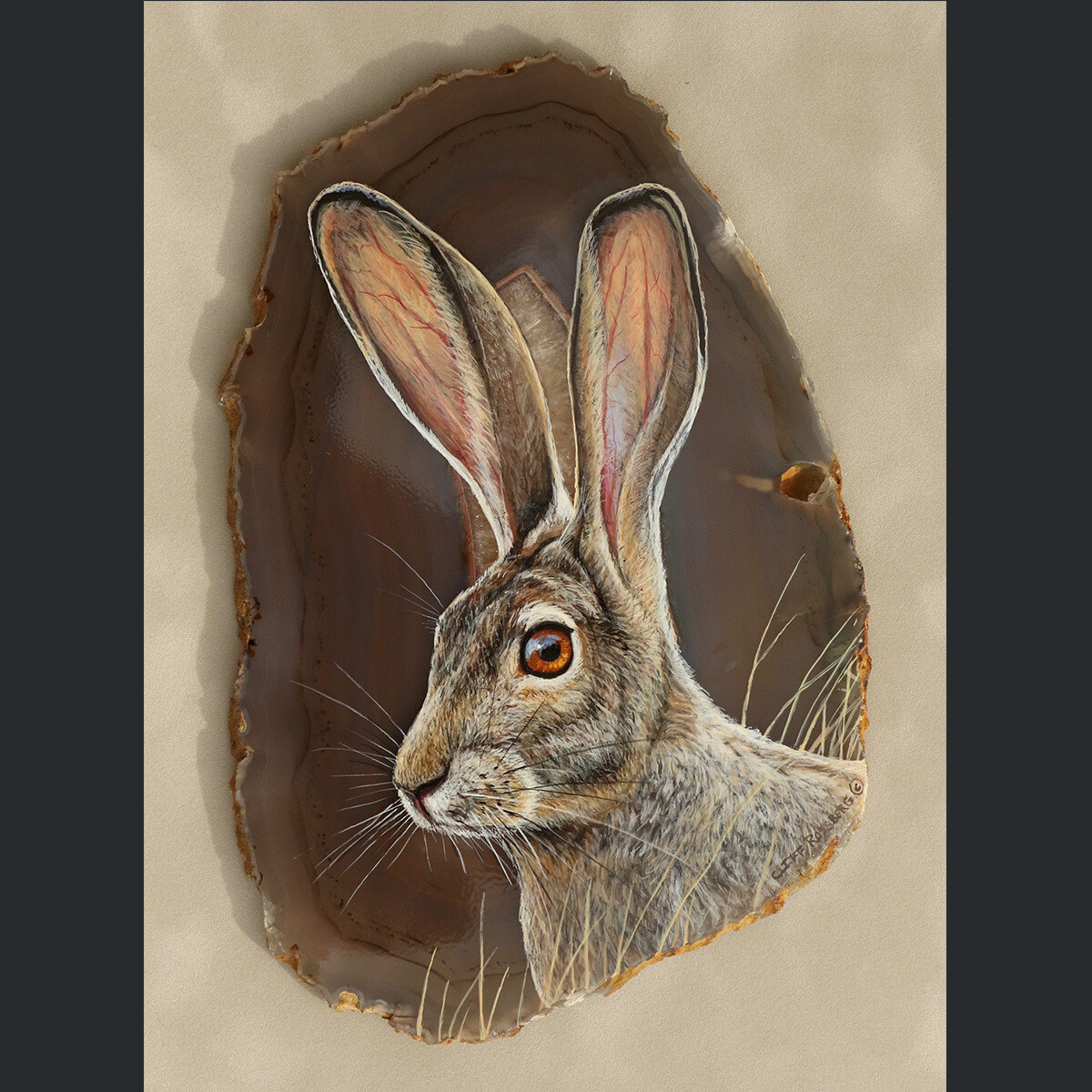 Rabbit Ears-Jackrabbit