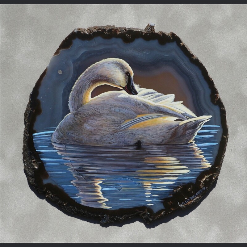 Solitude-Swan