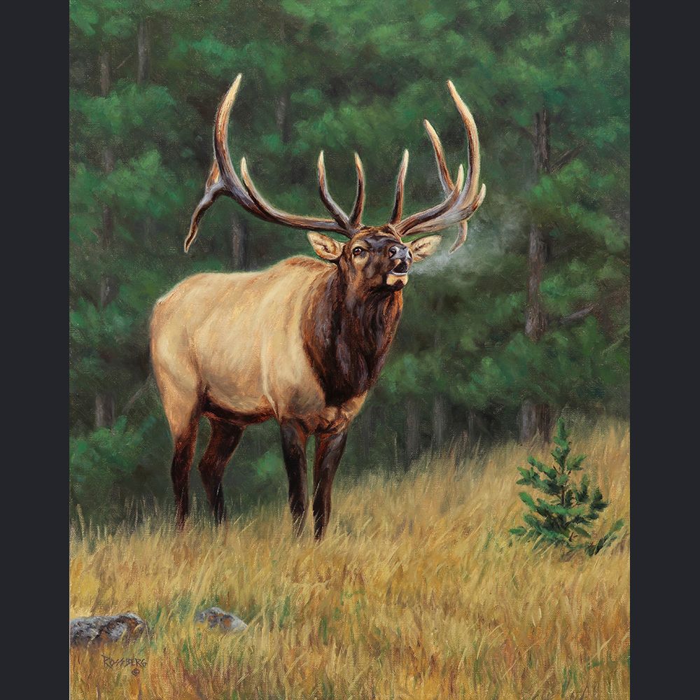 Timber Bugler