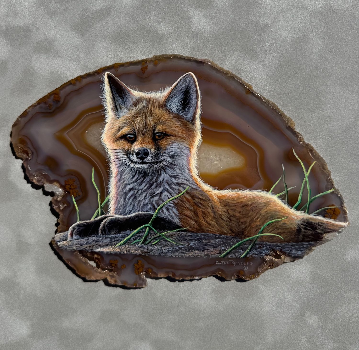 Curious- Fox Pup