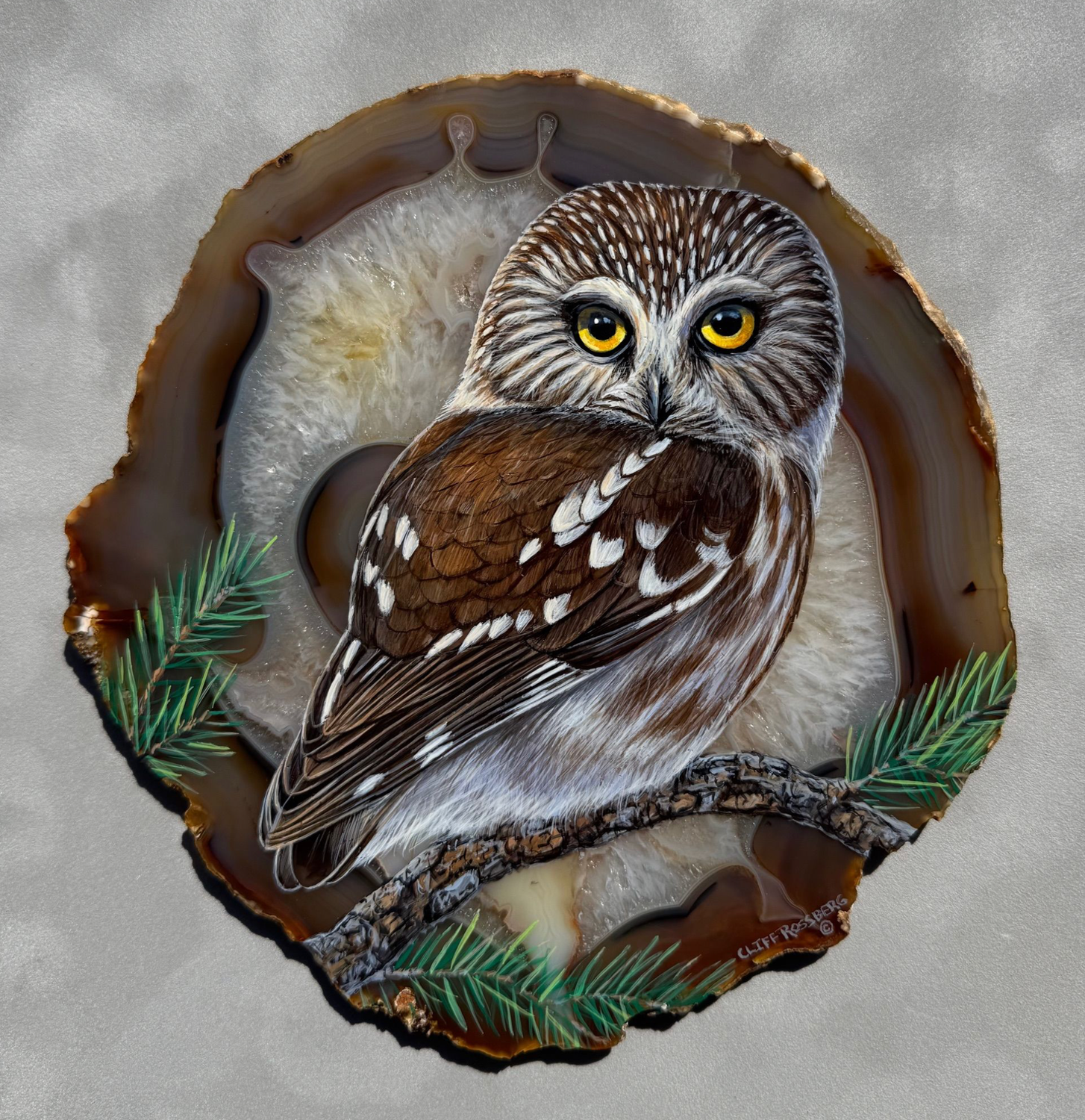 Northern Saw -Whet Owl