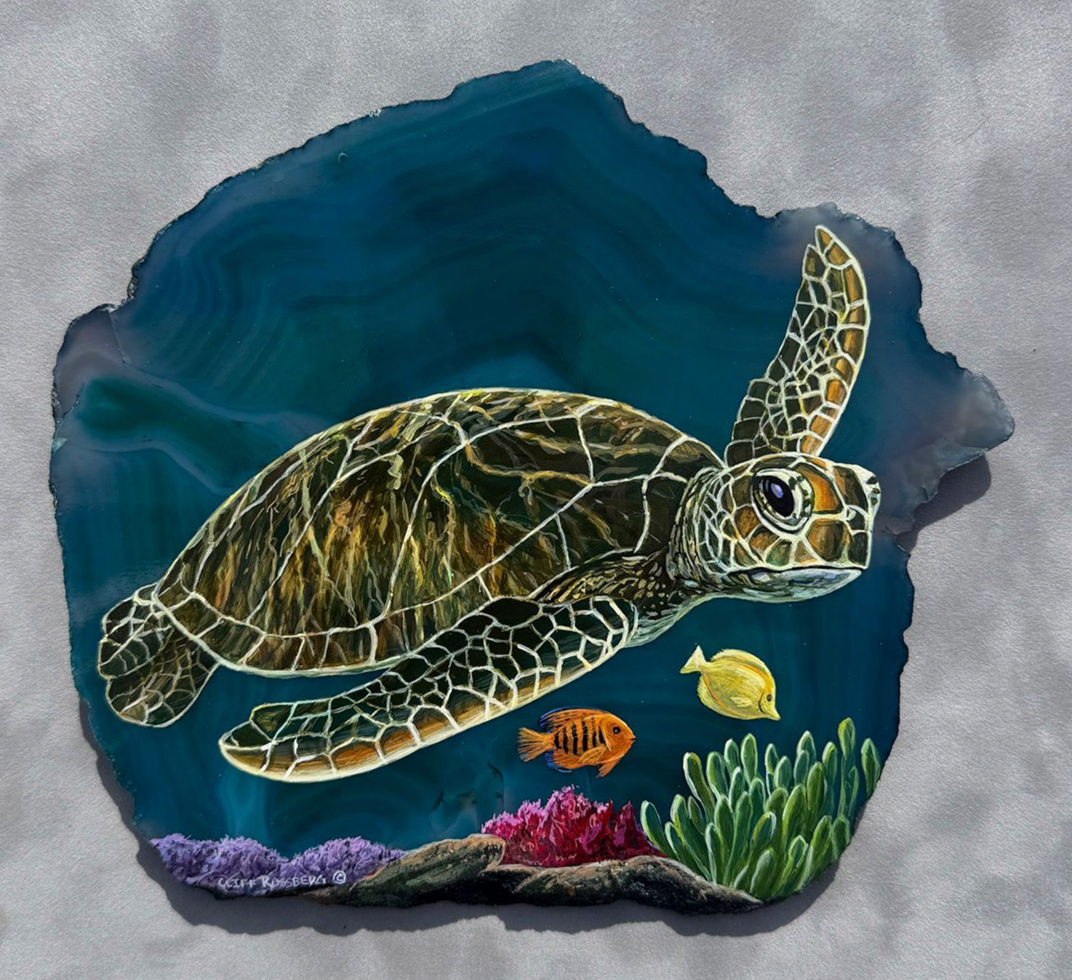 Sea Turtle