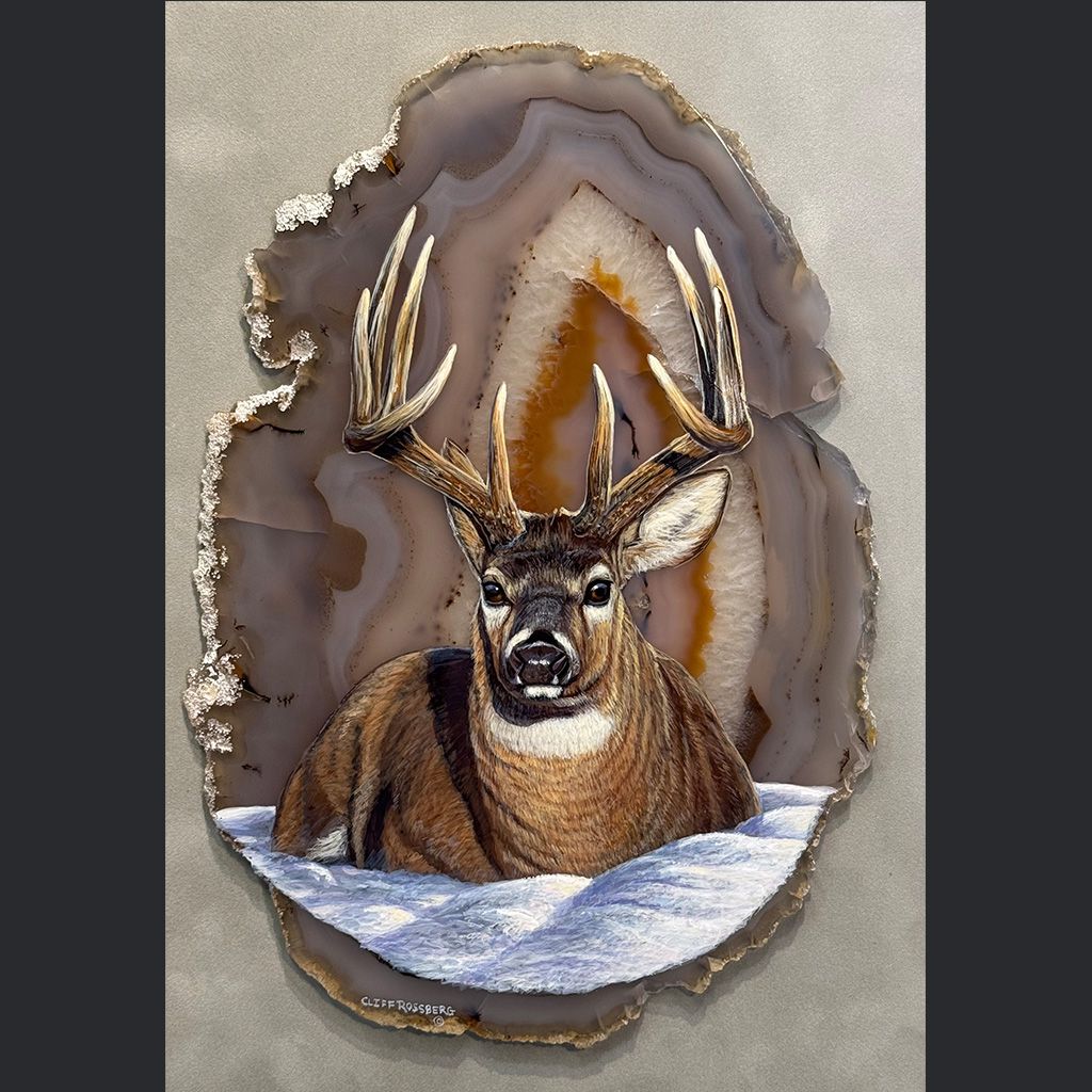 Local Legend- Whitetail