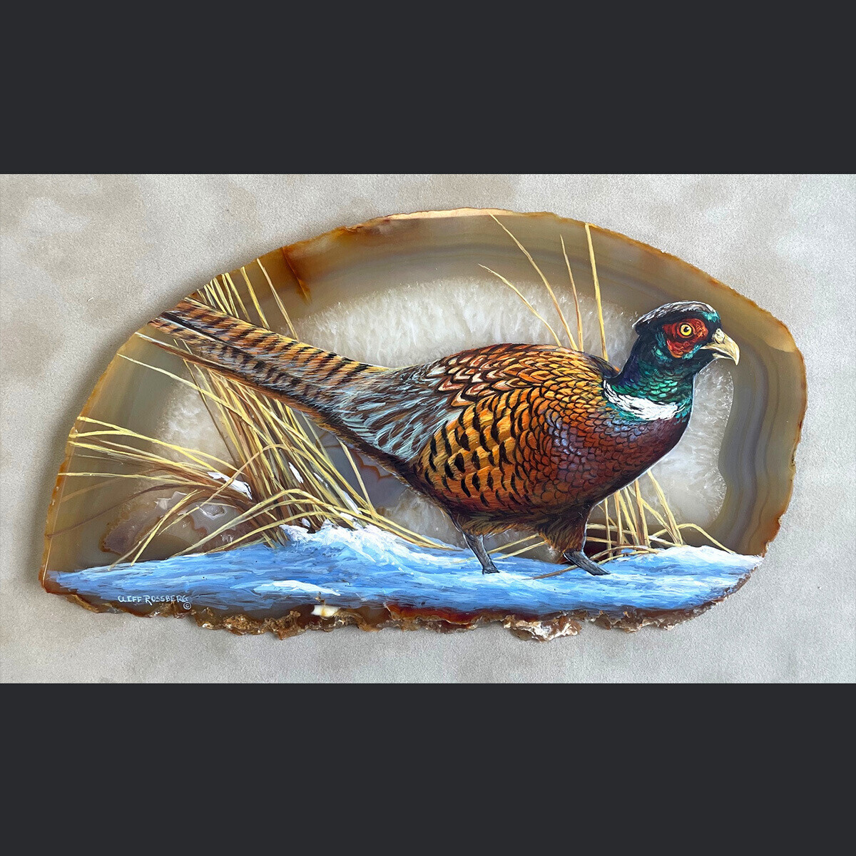 On the Sneak-Pheasant