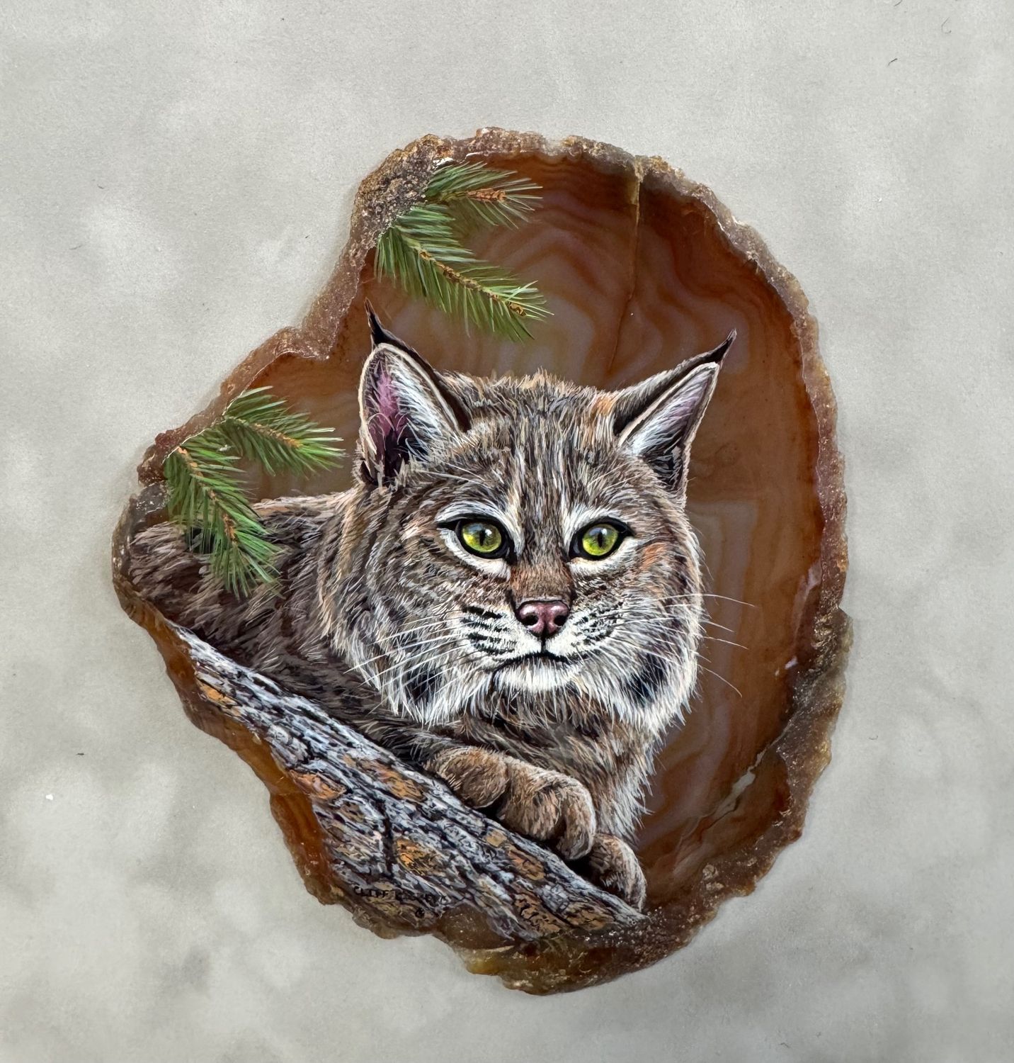 Pine Tree Perch- Bobcat