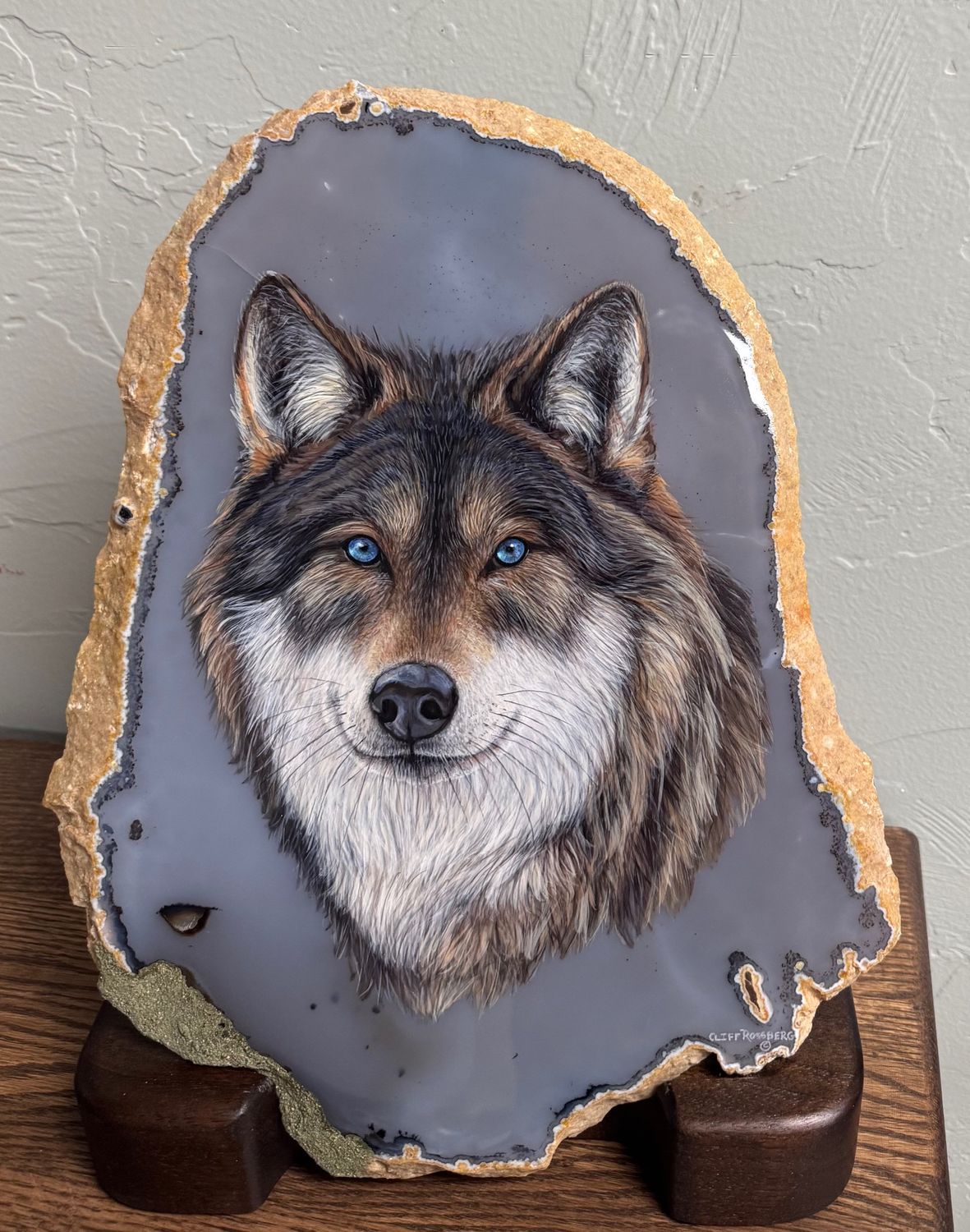Steel Blue- Gray Wolf