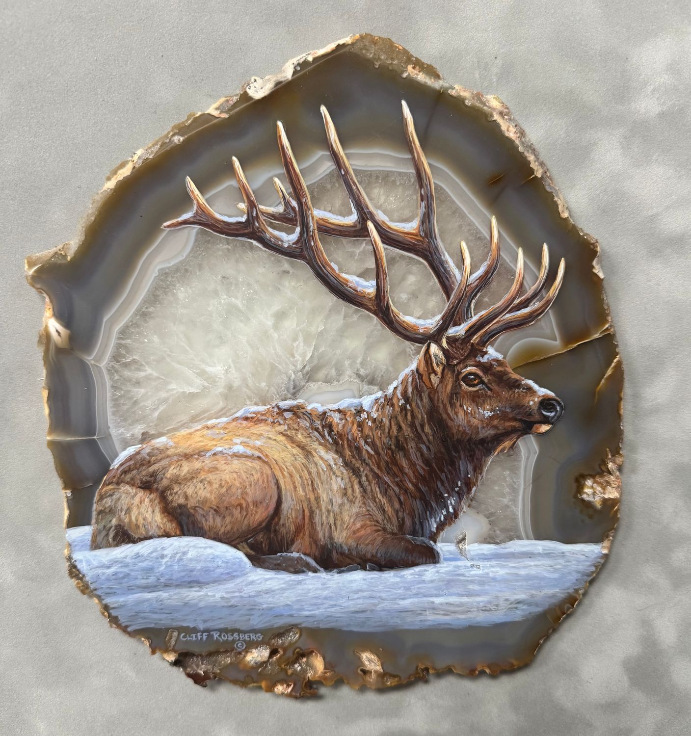 Snow King- Elk