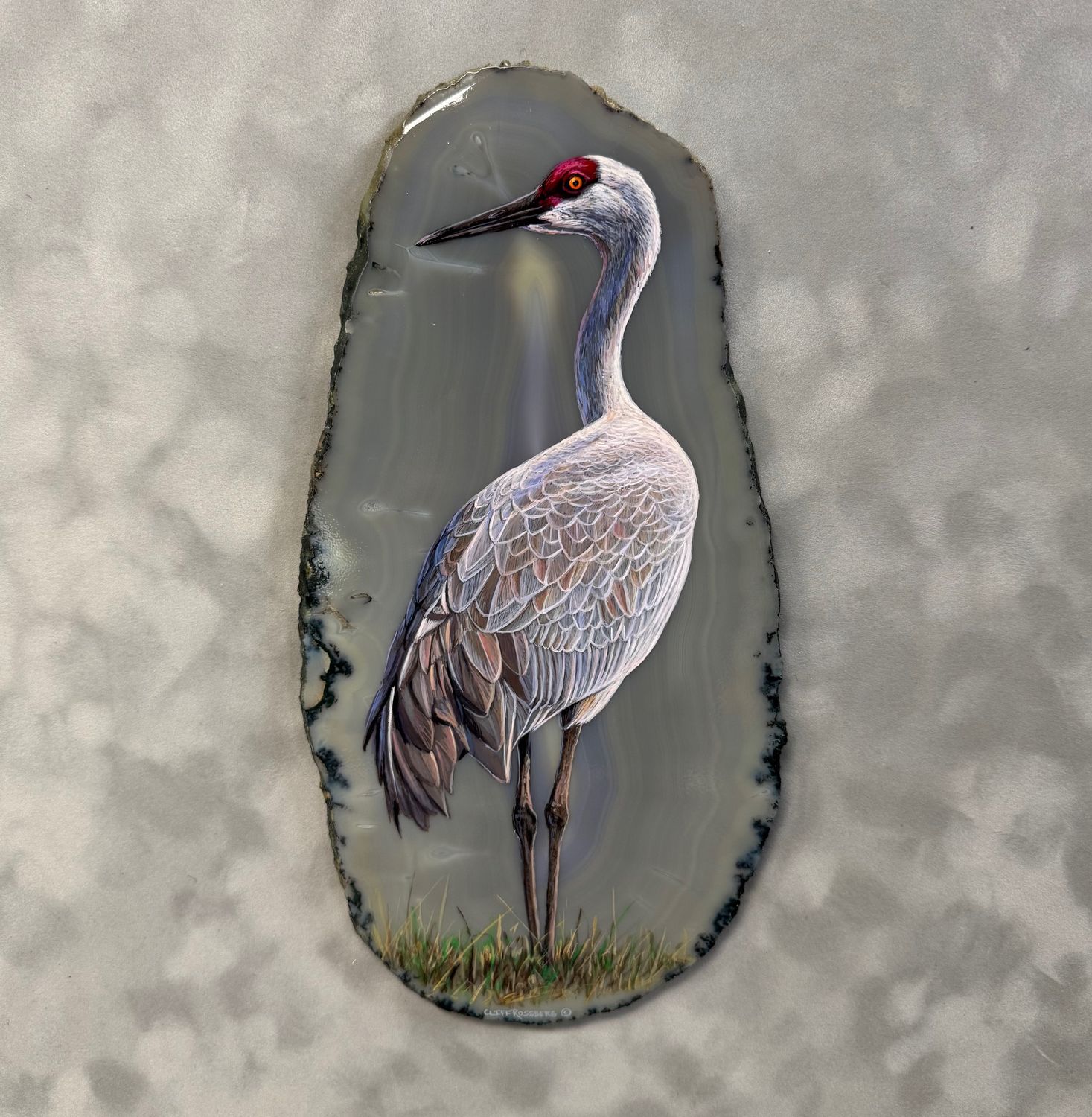 Sandhill Crane