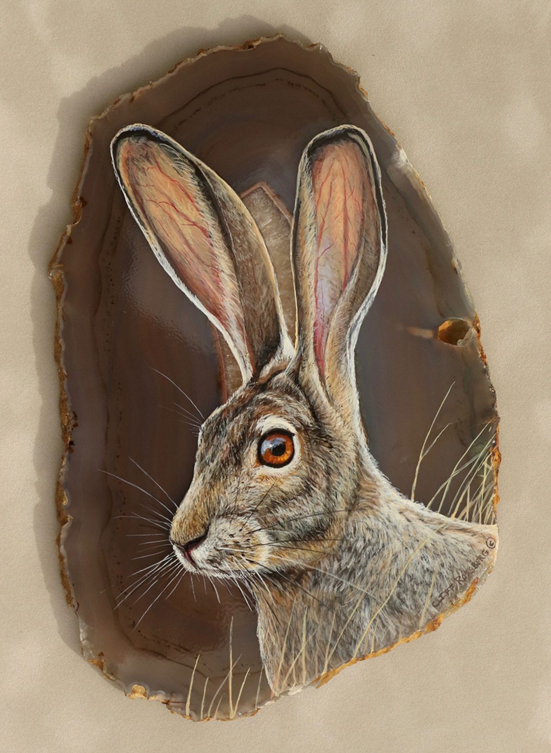 Rabbit Ears - Jackrabbit